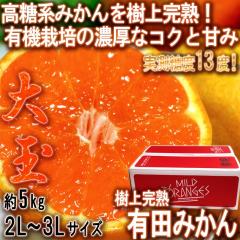 �y��ʌ���z���n�L�c�݂��� ��5kg 2L�`3L�T�C�Y �a�̎R���Y ���N���u���Y �V�i��̍����n�݂����I���I������Y�n�A�L�c�̖������͂�