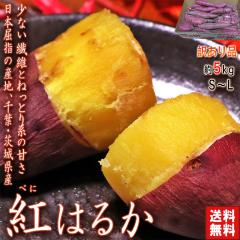 �g�͂邩 ��5kg ��t���E��錧�Y �󂠂�i �Z���Ȗ��Ɖh�{�L�x�ȏ{�̖�؁I�Â݈���F���������͂� ���܂��� �T�c�}�C�� ��� �n�� 