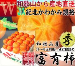 �Y�n���� �x�L�` ��7.5kg 38�`46�� �a�̎R���Y �G�i JA�I�k��� �����\ �N�x���Q�̘a�̎R�����I�ÂݖL�x�ȃJ�L