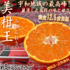 ���������x13.9�x�I ������ �݂��񂨂� �����x�~�J�� ��5kg S�`L�T�C�Y �����K�i ������u�����h�F�� ���x12.5�x�ۏ؂̍����t���[�c�I��