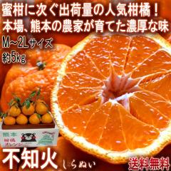 �s�m�� ����ʂ� ��5kg M�`2L�T�C�Y���S �F�{���Y �l�_�ƎY �F�{���ň�Ă��{��̖��킢�I�f�R�|���Ɠ��i��̃^���S�[��
