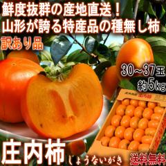 �Y�n���� �����` ��5kg 30�`37�� �󂠂�i �R�`���Y �ƒ�p �a�����ς݁E�햳���̊`���R�`�����ł��͂��I
