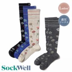 Sockwell(\bNEF)/FIELD FLOWER@Ladies(tB[h t[ fB[X)/\bNX C mE[ \bNX ^E[X