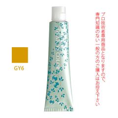 �i�v�� �A�N�Z�X�t���[HB �O���C�V�X�J���[ GY6 �O���C�C�G���[ 80g �i��1�܁j ��򕔊O�i