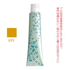 �i�v�� �A�N�Z�X�t���[HB �O���C�V�X�J���[ GY5 �O���C�C�G���[ 80g �i��1�܁j ��򕔊O�i