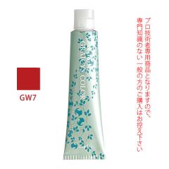 �i�v�� �A�N�Z�X�t���[HB �O���C�V�X�J���[ GW7 �O���C�E�H�[�� 80g �i��1�܁j ��򕔊O�i