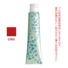 �i�v�� �A�N�Z�X�t���[HB �O���C�V�X�J���[ GW6 �O���C�E�H�[�� 80g �i��1�܁j ��򕔊O�i