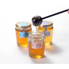 �������� ���򗢎R�Y�ɂ���������A�L���ŉ��[�����킢�̂͂��݂E���V���R�͂��݂l���� �������H�[�E�ΐ쌧