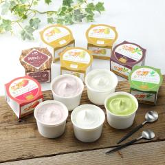 ������W���[�W�[ Premium �W�F���[�g 5��v12�� �l�ߍ��킹 �A�C�X