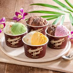 �n���C�A���z�[�X�g �}�J�_�~�A�i�b�c�A�C�X �M�t�g�Z�b�g 4��v8�� �A�C�X�N���[�� �J�b�v�A�C�X �f�U�[�g ����y���ꌧ�E���� �z���s