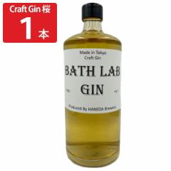 Hcr[ BATH LAB GIN #001  W L[  NtgW