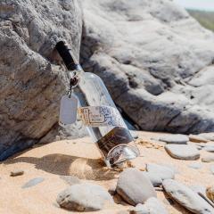 �G�L�Z���g���b�N�E�X�s���b�c �f���B�E�T���g�E�W�� �N���t�g�W�� �� �X�s���b�c �A���R�[������