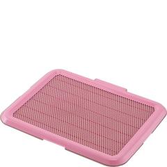 ���^������g���[ M �s���N