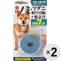 ySALEzyZbg̔zpm~E}_j+悯 ^E^p~2R