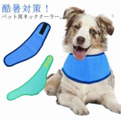 2点セット 犬 猫 クールネックバンド ひんやり ペット用 犬用 熱中症 暑さ対策 冷感グッズ 犬 クールバンダナ クールネック 首ひんやり