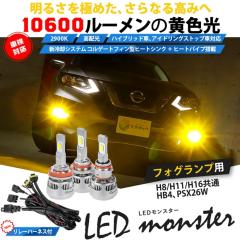 P AEgbgSG LED MONSTER L10600lm LEDtHOvLbgou CG[ KiFH8/H11/H16EHB4EPSX26W