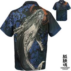 ���J�� �� �A���n�V���c �I�[�v���V���c ���� �a�� �����Y ���ؓ]�ʃv�����g(�U�g�E�N�W��) 252855