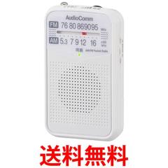 東芝 TY-SCR70-S ワイドFM/AMラジオ LEDライト搭載TOSHIBA AUREX