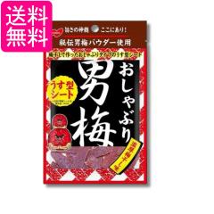 明治 ヤンヤンつけボー 48g × 10個 お菓子 チョコクリーム クラッカー