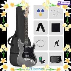 Schecter シェクター ニッキー・シックス アーティストシリーズ Nikki
