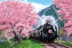 エポック社 1000ピース ジグソーパズル 日本風景 桜と大井川鐵道-静岡