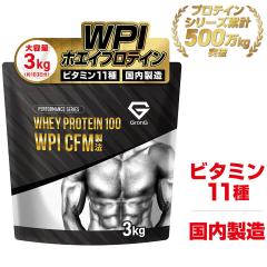 �O�����O WPI �v���e�C�� �z�G�C�v���e�C�� 3kg �����t�� CFM���@ �r�^�~��11��z�� �������� GronG