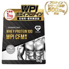 �O�����O WPI �v���e�C�� �z�G�C�v���e�C�� 1kg �i�`������CFM���@ �r�^�~��11��z�� �������� GronG