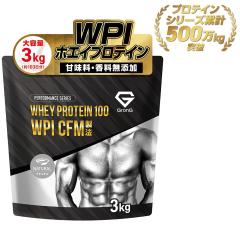 �O�����O WPI �v���e�C�� �z�G�C�v���e�C�� 3kg �i�`������ CFM���@ �r�^�~��11��z�� �������� GronG