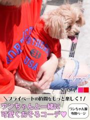 ���� �t�@�b�V���� ���f�B�[�X Ryuyu ���� �ĕ� �h�b�O�E�F�A ������ 