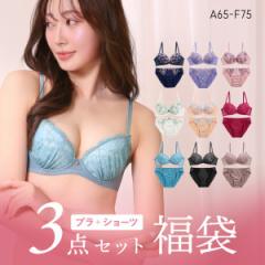 7%OFF【送料無料】 ブラジャー ショーツ 3点セット 福袋 選べる5タイプ おまかせ 刺繍 レース おしゃれ シンプル ABCDEF 大きいサイズ