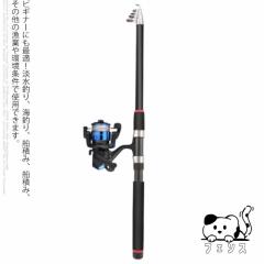 ニッシン 投げ釣り・投げ竿 プロステージ エクシード 磯 3号遠投 4005