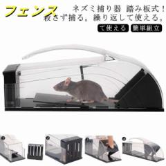 ネズミ捕り器 踏み板式 ねずみとり ネズミ捕り器 マウストラップ ネズミ取りカゴ ネズミ捕獲器 プラスチック 殺さず捕る 繰り返して使え