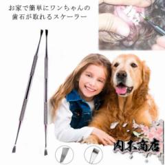 【送料無料】ペット用 歯石取り スケーラー 犬用 猫用 両頭タイプ デンタルケア 歯石取り 歯垢 歯石除去用品 ハミガキ スケラー 歯石取り