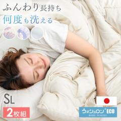 �y���߁`P5%�Ҍ��z �|���z�c 2���g �V���O�� �􂦂� ���{�� ���|���z�c �e�C�W�� �E�H�V������ �􂦂锧���� ���|�� �z�c �ې� �V���O