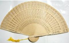花柄配色レトロトップス ライトグリーン 2サイズ 花柄配色レトロトップス ライトグリーン 2サイズの通販はau PAY