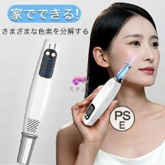 美顔器 電気ブラシ EMS SALONIA サロニア デンキブラシ リフトアップ