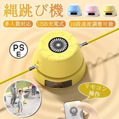 RELIFE REBUILD YOUR LIFE 懸垂マシン 懸垂バー ぶらさがり健康器 筋