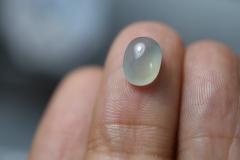 RS11-37 �X�� �O���[�E�ԗ� �~�����}�[�Y �V�R A�� �{�Ő� ���[�X �d�� �W�F�_�C�g