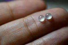 RS10-21 �~�j ���X�� ��Ύ� ���X �V�R�~�����}�[�Y A�� �{�Ő� ���[�X ���� �d�� �W�F�_�C�g