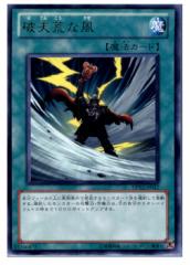 yÑ[z[TCG]VY DP12-JP017R jVrȕ