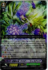 yÑ[z[TCG]@K[h BT14/019RR [̎ }X^[EEBXeA