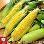 フーズランド北海道のネットショッピング 通販はau Pay マーケット