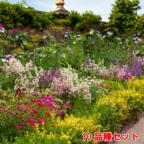 花苗の商品一覧 通販 Au Pay マーケット 花苗の商品一覧 通販 Au Pay マーケット