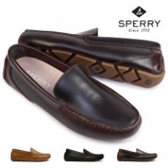 Xy[gbvTC_[ Y Xb| _F|[g xl`A [t@[ hCrOV[Y {v U[ SPERRY TOP-SIDER