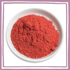 富澤商店(TOMIZ) フリーズドライパウダー ストロベリー 20G (いちご/粉末/フリーズドライ/パウダー/真空凍結乾燥/トッピング)