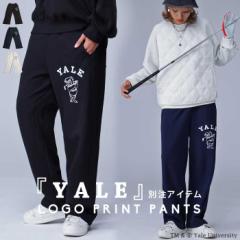 ʒ YALE  ANTIQUA GOLF Spc E[֕s ̓