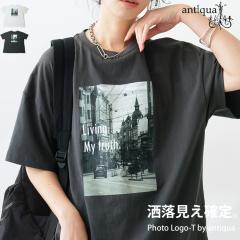 �t�H�g���ST T�V���c ���f�B�[�X �g�b�v�X ���� ���������E�ē��� (80)���[���։�