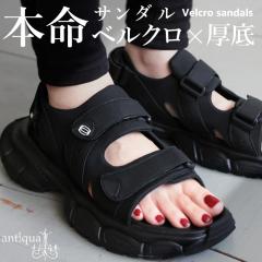 ���� �x���N�� �T���_�� ���f�B�[�X ����T���_�� ���������E���[���֕s��