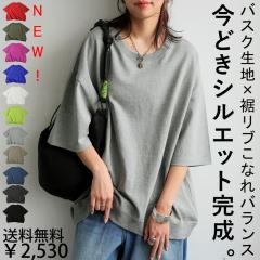 ���ʑ������� T�V���c ���f�B�[�X ���� ��100 ���n�E(80)���[���։�