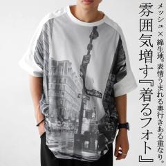 �y�\��F5����{�[���zT�V���c �����Y �g�b�v�X ���� �X���� �j���A���X�� ���������E�ē��� (100)���[���։�